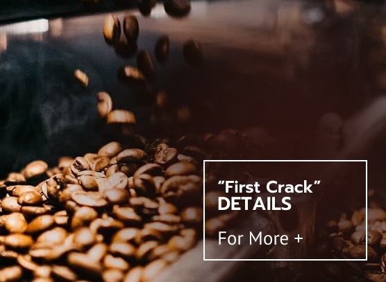 ekofi coffee roasters